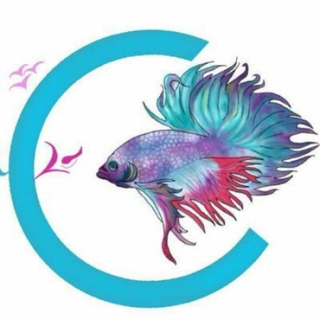 صورة البائع شركة السلمان العالمية