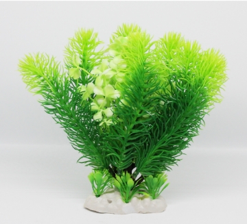 Picture of AQUATIC PLANT 171