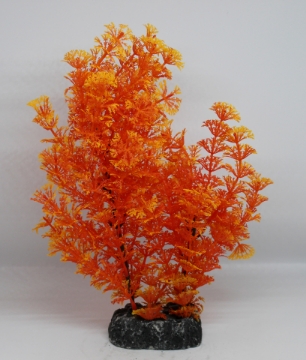 صورة زرع مائي 502