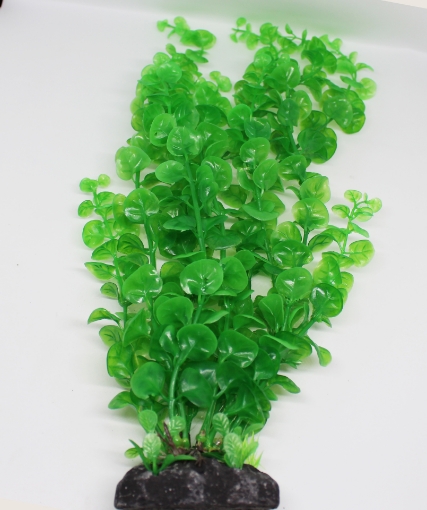 Picture of Aquatic plant 510