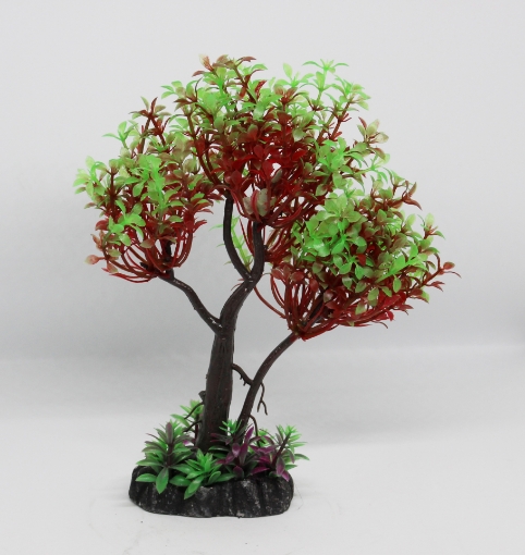 Picture of Aquatic plant 545