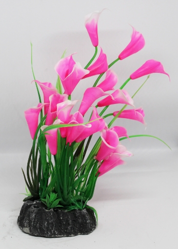 Picture of Aquatic plant 664