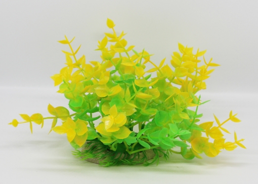 Picture of AQUATIC PLANT 444