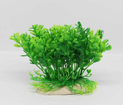 صورة زرع مائي 448 