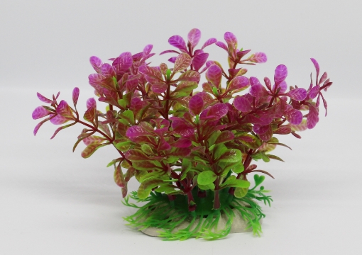 Picture of AQUATIC PLANT S 430