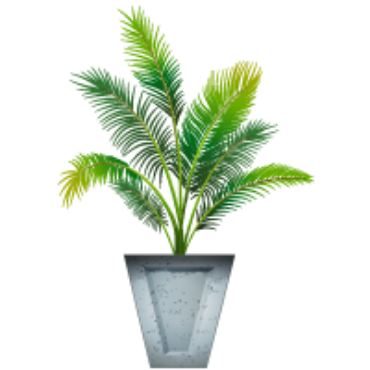 صورة لقسم نباتات خارجية