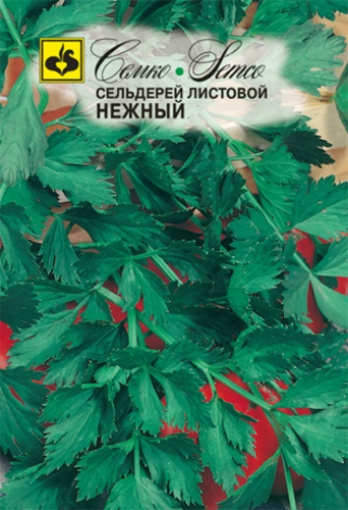 صورة بذور الكرفس