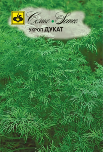 صورة بذور شبنت