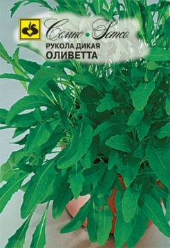 Picture of Wild watercress seeds