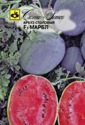 Picture of Black Melon Seeds F1