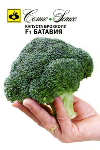 Picture of Broccoli F1 seeds