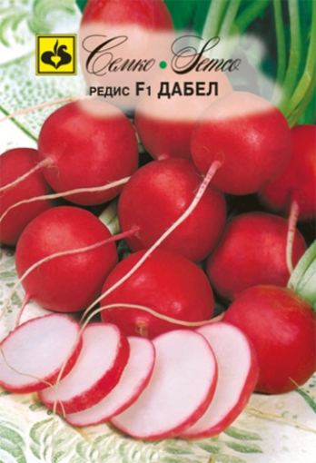 Picture of Double radish seeds F1