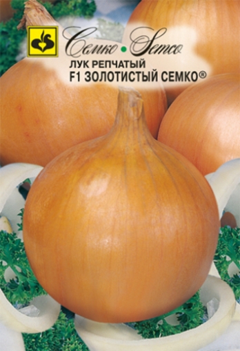 Picture of Golden Semko F1 Onion Seeds
