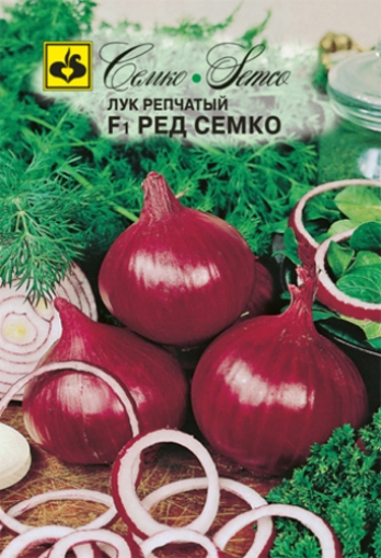 Picture of Red Onion Seeds Semko F1