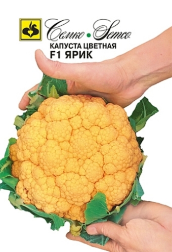 Picture of F1 Yellow Flower Seeds