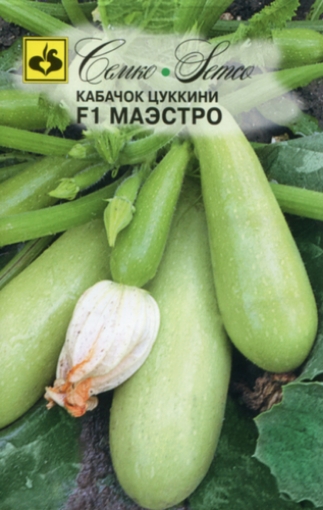 صورة بذور كوسى مايسترو