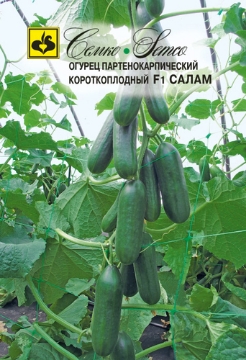 Picture of Cucumber seeds 3 F1