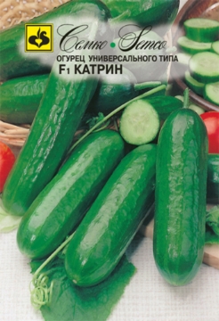 Picture of Cucumber seeds 5 F1