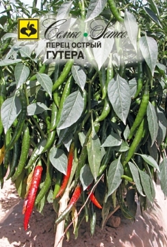 Picture of Hot pepper seeds