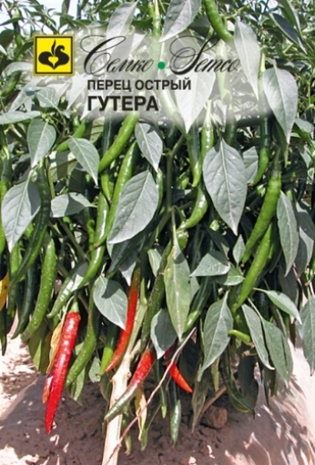 Picture of Hot pepper seeds