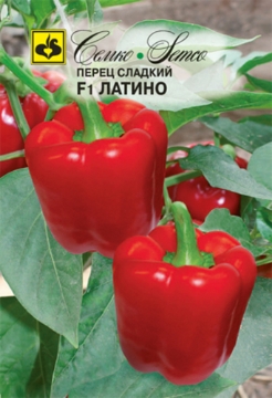Picture of Latin sweet pepper seeds