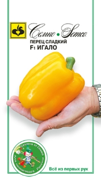 Picture of The seeds of sweet yellow pepper