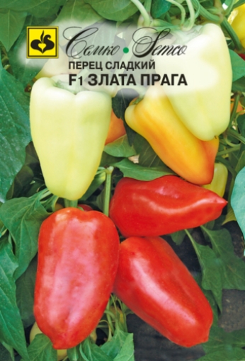 Picture of Pepper seeds 4 F1