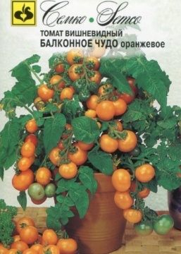 Picture of Orange dwarf tomato seeds