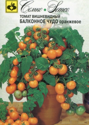Picture of Orange dwarf tomato seeds