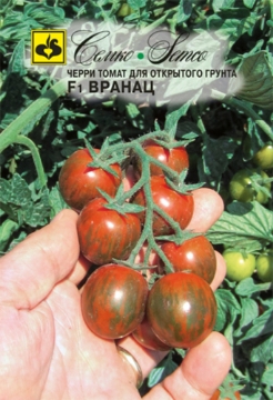 Picture of Cherry tomato seeds for open ground Vranac F1
