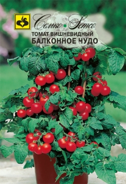 Picture of Seeds of Miracle Terrace Tomato