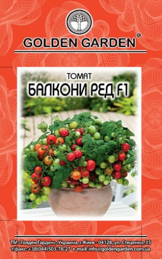 Picture of Dwarf tomato seeds F1 a