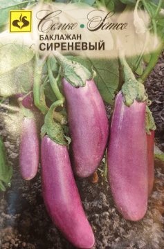 Picture of Purple eggplant seeds