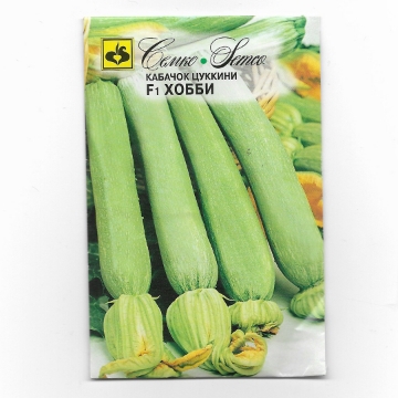 صورة بذور كوسى تلقيح ذاتي F1