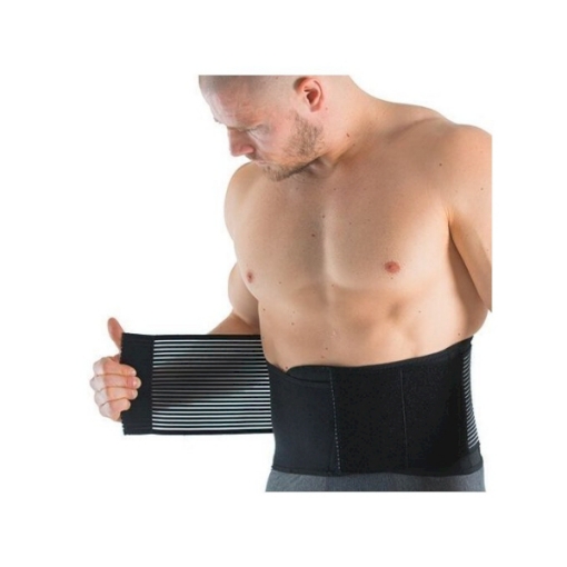 Picture of  Back Support 2.0