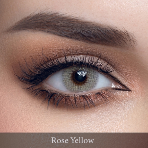 Picture of LOROYAL ROSE YELLOW. yearly