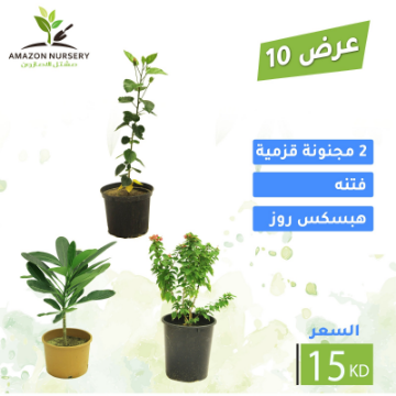 Picture of عرض 10