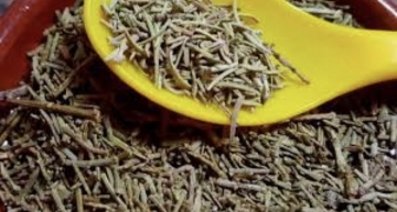 صورة عشبة العرعر