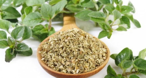 صورة برقدوش