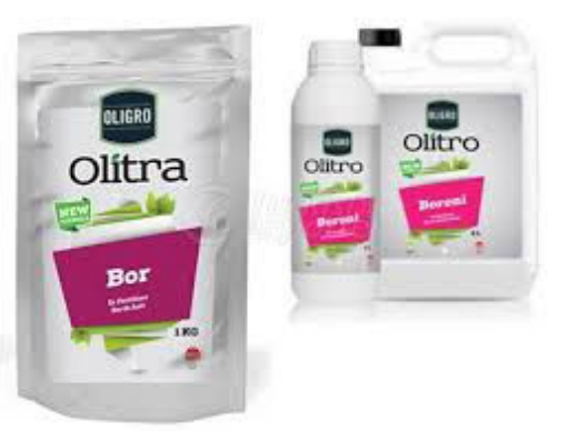 Picture of BOR 15%  بور