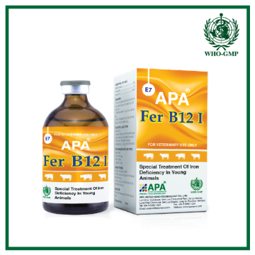 صورة Fer b12 حديد + B12