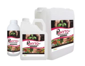 Picture of Phyto عالي البوتاسيوم