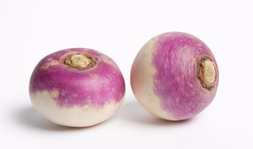 Picture of SEED-26 لفت (شلغم)