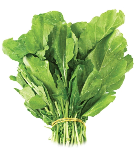 Picture of seed-34 بذور جرجير