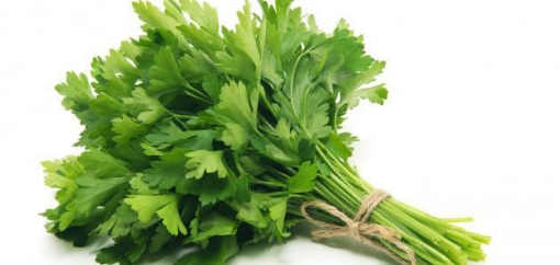 Picture of seed-35 بذور بقدونس