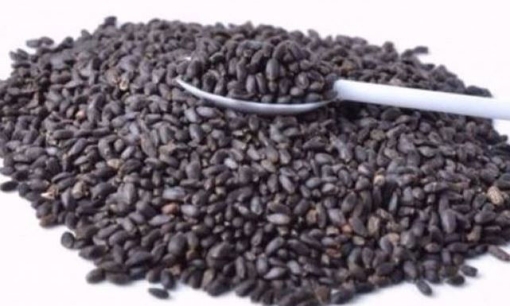 Picture of seed-36 بذور ريحان