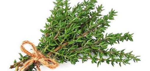 Picture of seed-37 بذور زعتر