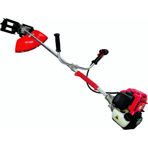 Picture of عشابة