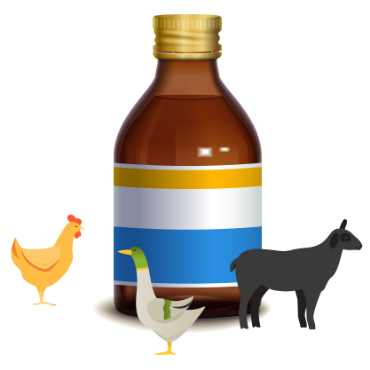 صورة لقسم ادوية بيطرية