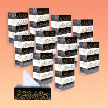 Picture of Noor Tissue 50 Box